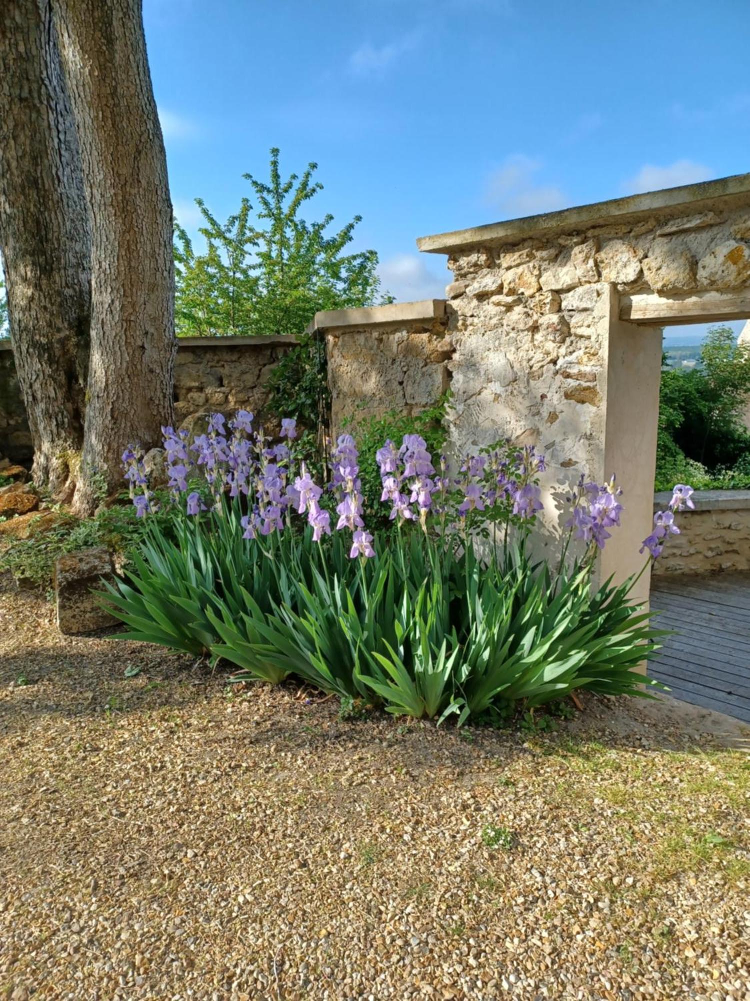 Le Verger Vaux-Sur-Seine Kültér fotó